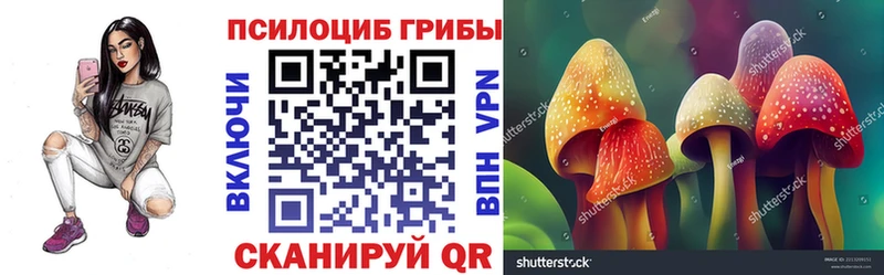 где купить наркотик  Лихославль  Галлюциногенные грибы GOLDEN TEACHER 