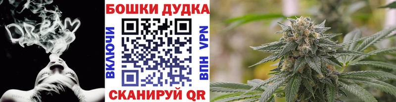 Конопля сатива  закладка  Лихославль 